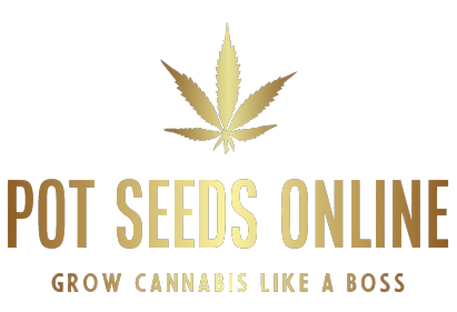Pot seeds online - Grow cannabis like a boss