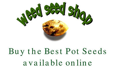 pot seeds online - Grow your own high